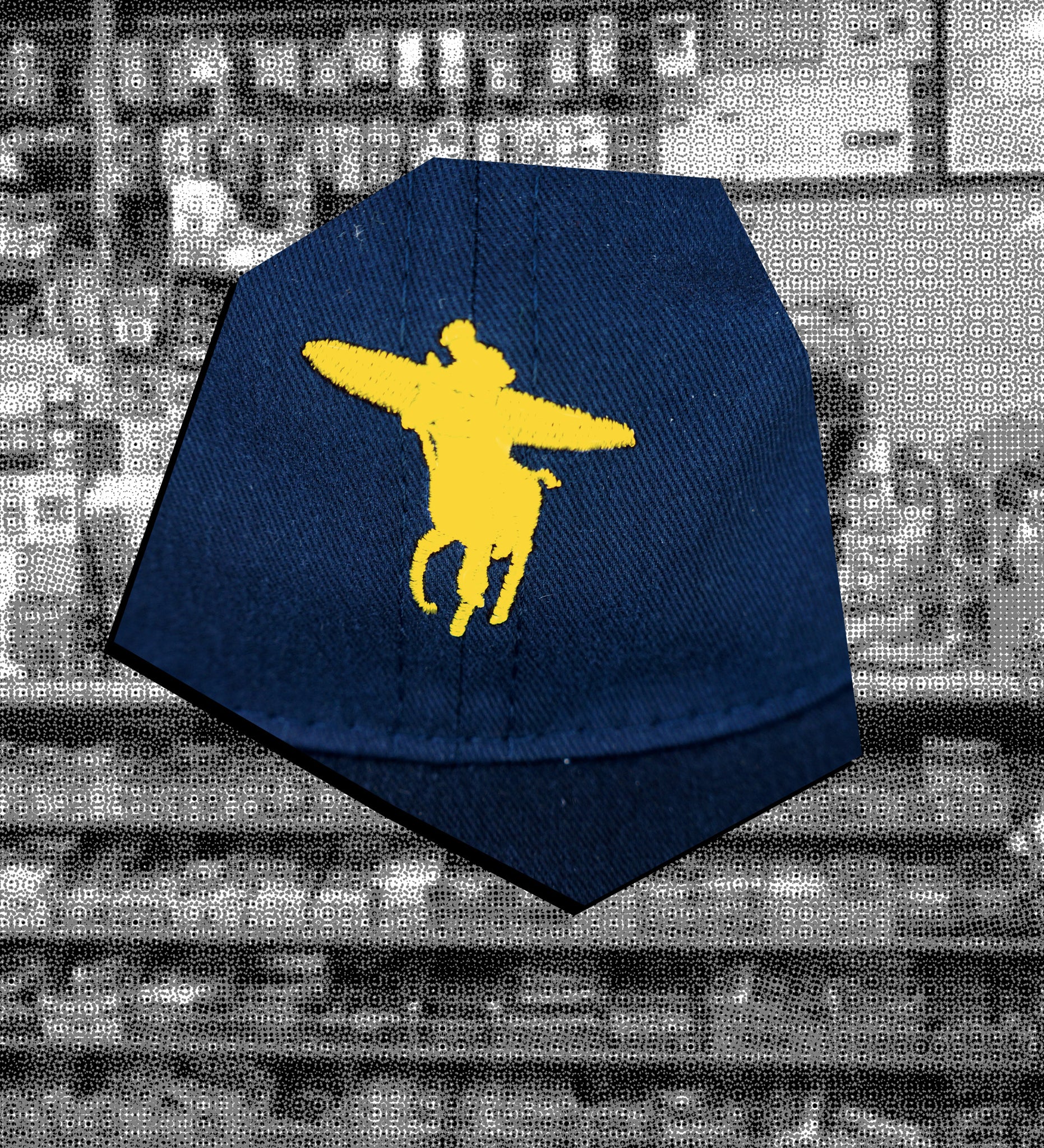 Ralph Don't Surf Hat (Navy-Yellow)